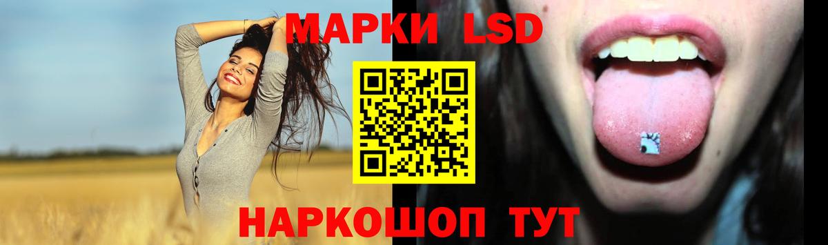 Щёлково  Лсд 25 экстази кислота  Лсд 25 экстази кислота  Вход с VPN 