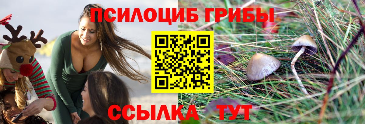 Галлюциногенные грибы прущие грибы Щёлково